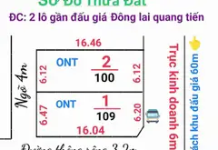 Bán đất mặt tiền tại xã Đông Lai, diện tích 100m2, pháp lý minh bạch... Bán đất tại Sóc Sơn, Hà Nội 02