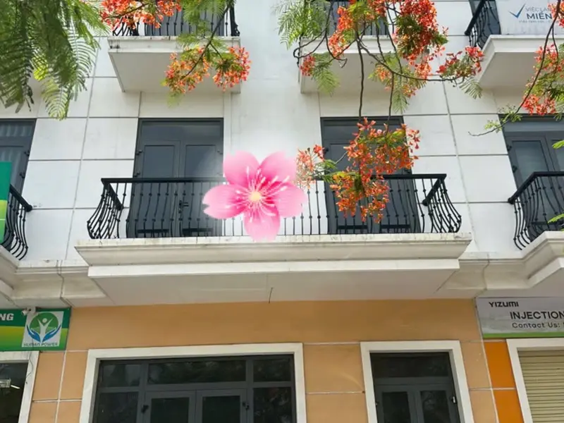 Siêu phẩm shophouse mặt tiền rộng - khu kinh doanh đỉnh cao tại Hải Phòng... Bán Shophouse tại An Lão, Hải Phòng 01
