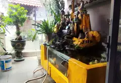 Bán nhà riêng 2 phòng ngủ tại Phường Phú Thọ Hòa, diện tích 55m2, giá 6.99 tỷ... Bán nhà riêng tại Phú Thọ Hòa, Hồ Chí Minh 10