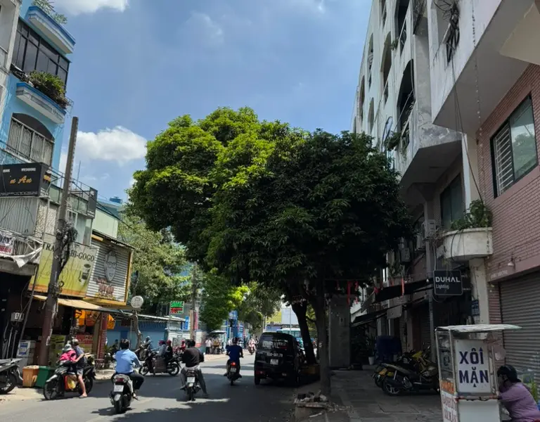 Nhà 4 tầng mặt tiền siêu đẹp ngay trung tâm Tân Bình... Bán owner_side tại Tân Hòa, Hồ Chí Minh 01