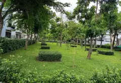Đất góc 2 mặt tiền siêu đẹp gần công viên Gò Vấp... Bán đất tại An Hội Đông, Hồ Chí Minh 02