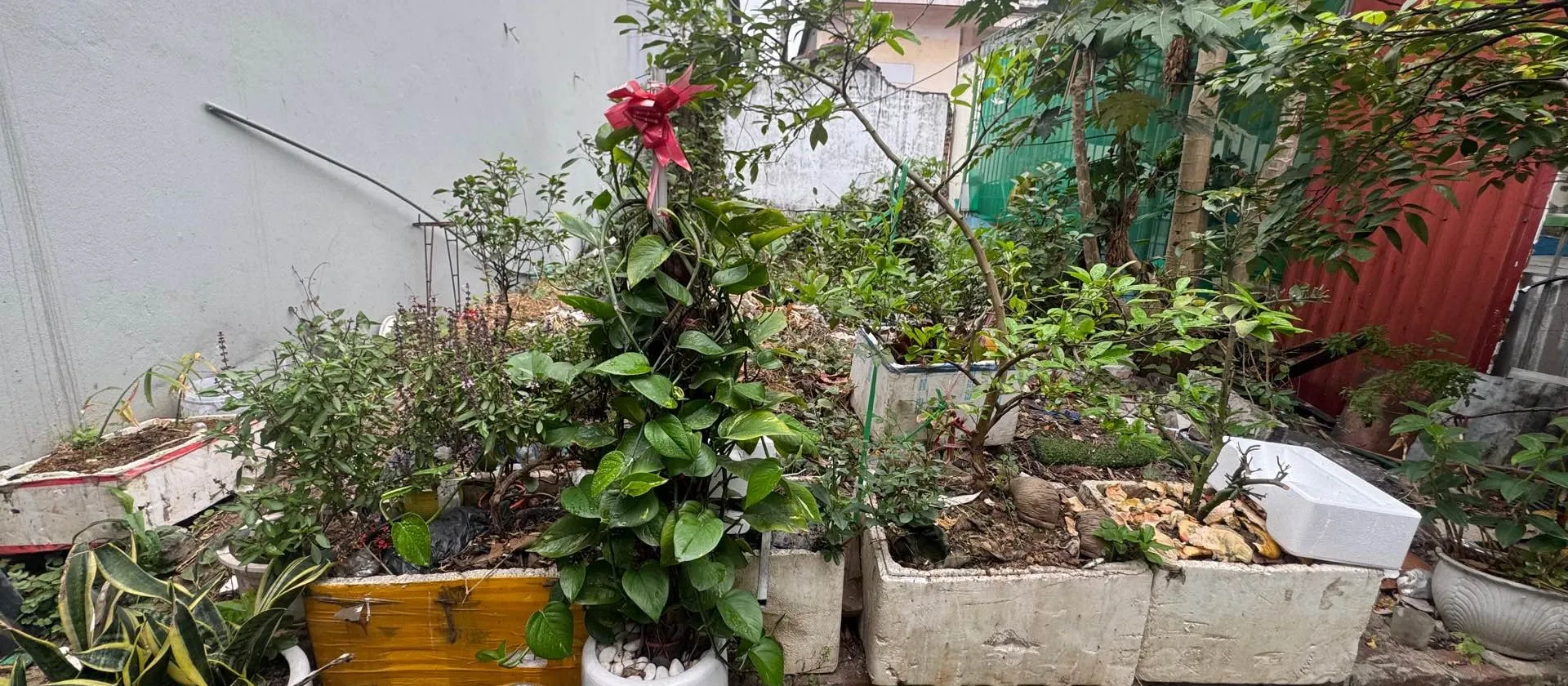 BÁN ĐẤT TẠI HẬU DƯỠNG THIÊN LỘC. TRỤC 23 CẦU THĂNG LONG... Bán đất tại Thiên Lộc, Hà Nội 01