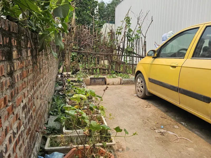 Đất vàng Nhị Khê sổ đỏ lâu dài, ô tô vào tận đất... Bán đất tại Thường Tín, Hà Nội 01