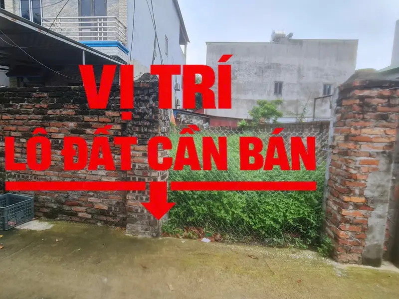 Bán đất tại xã Tiên Du, Bắc Ninh, diện tích 80.4 m², mặt tiền 5.5 m, pháp lý sổ đỏ... Bán đất tại Tiên Du, Bắc Ninh 01