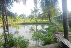 Bán đất 5046m2 hướng Nam, sổ gộp 3 nền tại khu vực thuận tiện... Bán đất tại Bình Lợi, Hồ Chí Minh 10