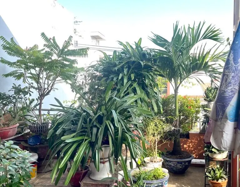 Nhà mặt phố Lê Hữu Trác - 3 tầng kiên cố, sẵn sàng kinh doanh... Bán nhà mặt phố tại Sơn Trà, Đà Nẵng 01