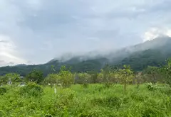 Đất nghỉ dưỡng view núi xanh ngay Thanh Hà giá sốc... Bán đất tại Trung Giã, Hà Nội 06