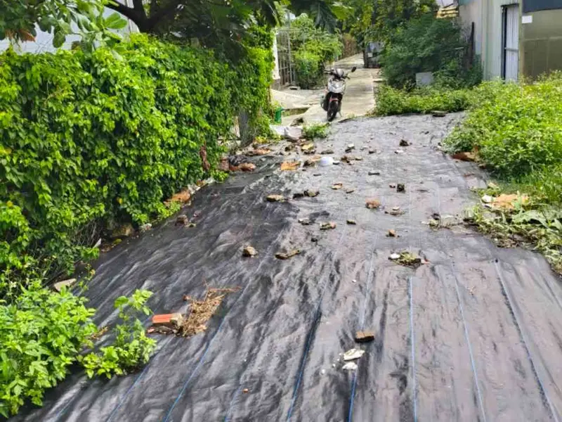 Đất thổ cư vuông vức tại xã Bà Điểm – Tiềm năng phát triển bậc nhất khu vực... Bán đất tại Bà Điểm, Hồ Chí Minh 01