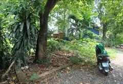 Đất Vườn Lớn Gần Bệnh Viện Nhi Đồng 3 - Cơ Hội Vàng Đầu Tư... Bán đất tại Tân Nhựt, Hồ Chí Minh 03