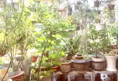 Nhà mặt phố sầm uất Quận 10, tiềm năng kinh doanh cực đỉnh... Bán nhà mặt phố tại Hòa Hưng, Hồ Chí Minh 13
