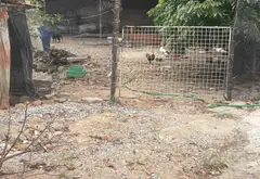Bán Lô Đất Vườn Siêu Đẹp Tại Sóc Sơn - Cơ Hội Vàng!... Bán đất tại Sóc Sơn, Hà Nội 02