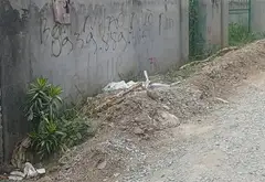 Nhà mặt tiền rộng 8m, vị trí đắc địa ở Hưng Long... Bán nhà mặt phố tại Hưng Long, Hồ Chí Minh 04