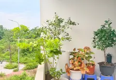 Bán nhà riêng 5 tầng 77m tại Thanh Am, giá 21 tỷ, vỉa hè, ô tô vào nhà, thang máy. Ở luôn.... Bán nhà riêng tại Việt Hưng, Hà Nội 03