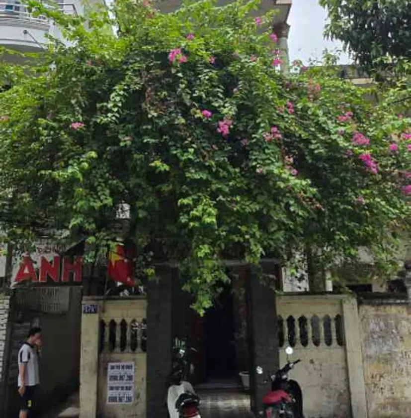 Nhà lô góc 3 mặt tiền đường Chùa Hàng, diện tích 94,2m², 2,5 tầng, hướng Đông Bắc... Bán nhà mặt phố tại Lê Chân, Hải Phòng 01