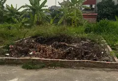 Bán đất phân lô Vĩnh Trai - Trừng Xá, Lương Tài, Bắc Ninh, mặt tiền 4.6m, pháp lý có sổ đỏ... Bán đất tại Trung Chính, Bắc Ninh 05