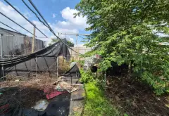 🔥 480M² – ĐƯỜNG NHỰA 12M – GIÁ CHỈ 4 TỶ 🔥

📍 Đường C, xã Tân Vĩnh Lộc, Bình Chánh – gần cầu Rạch... Bán nhà mặt phố tại Tân Vĩnh Lộc, Hồ Chí Minh 03
