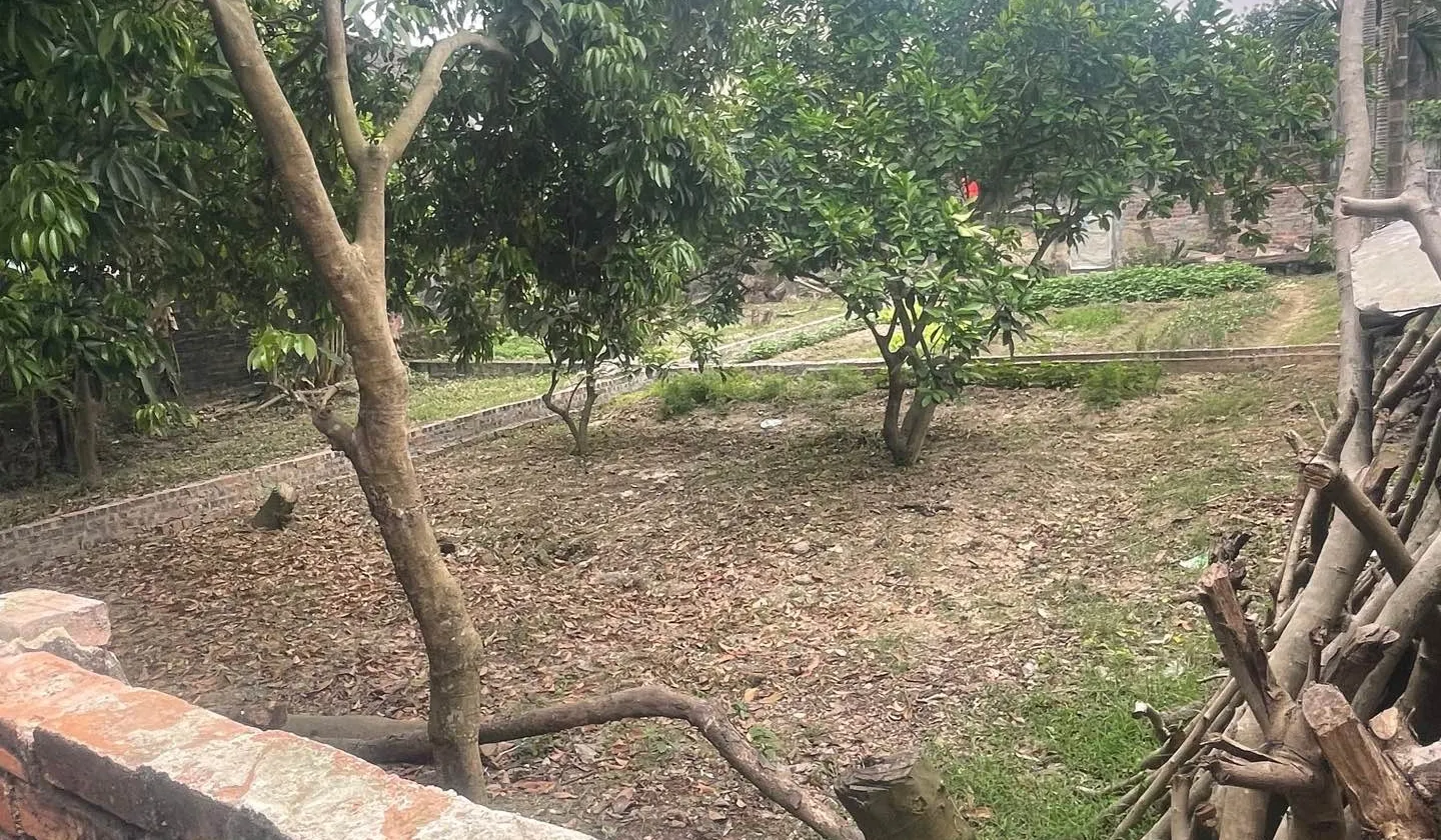 Bán đất gần đường VÕ NGUYÊN GIÁP . QL2 . SÂN BAY QT NỘI BÀI... Bán đất tại Nội Bài, Hà Nội 01