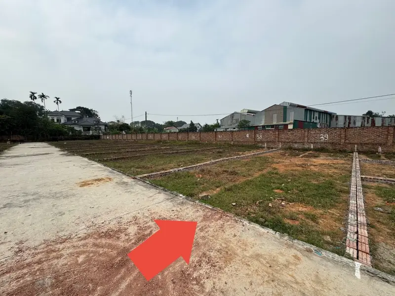 Đất vàng thanh khoản nhanh, ô tô vào tận nơi... Bán đất tại Sóc Sơn, Hà Nội 01