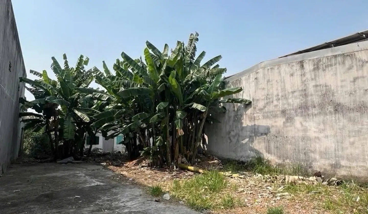 Nhà riêng diện tích rộng tại quận Bình Tân với mặt tiền rộng 11m giá hợp lý... Bán nhà riêng tại Tân Tạo, Hồ Chí Minh 01