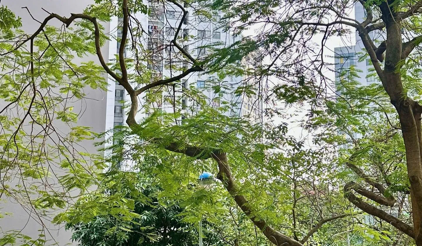 Căn góc 3PN Linh Đàm thoáng mát, sổ đỏ chính chủ... Bán căn hộ chung cư tại Hoàng Liệt, Hà Nội 01