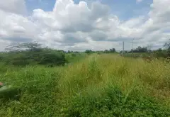 Kho bãi rộng lớn, vị trí đẹp giá hợp lý tại Đinh Đức Thiện... Bán kho, nhà xưởng tại Bình Chánh, Hồ Chí Minh 09