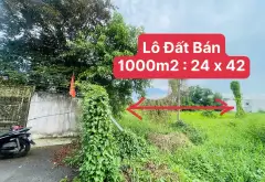 Bán đất 1000m2 mặt tiền 24m tại Quận 12 giá 13.5 tỷ... Bán đất tại Thới An, Hồ Chí Minh 02