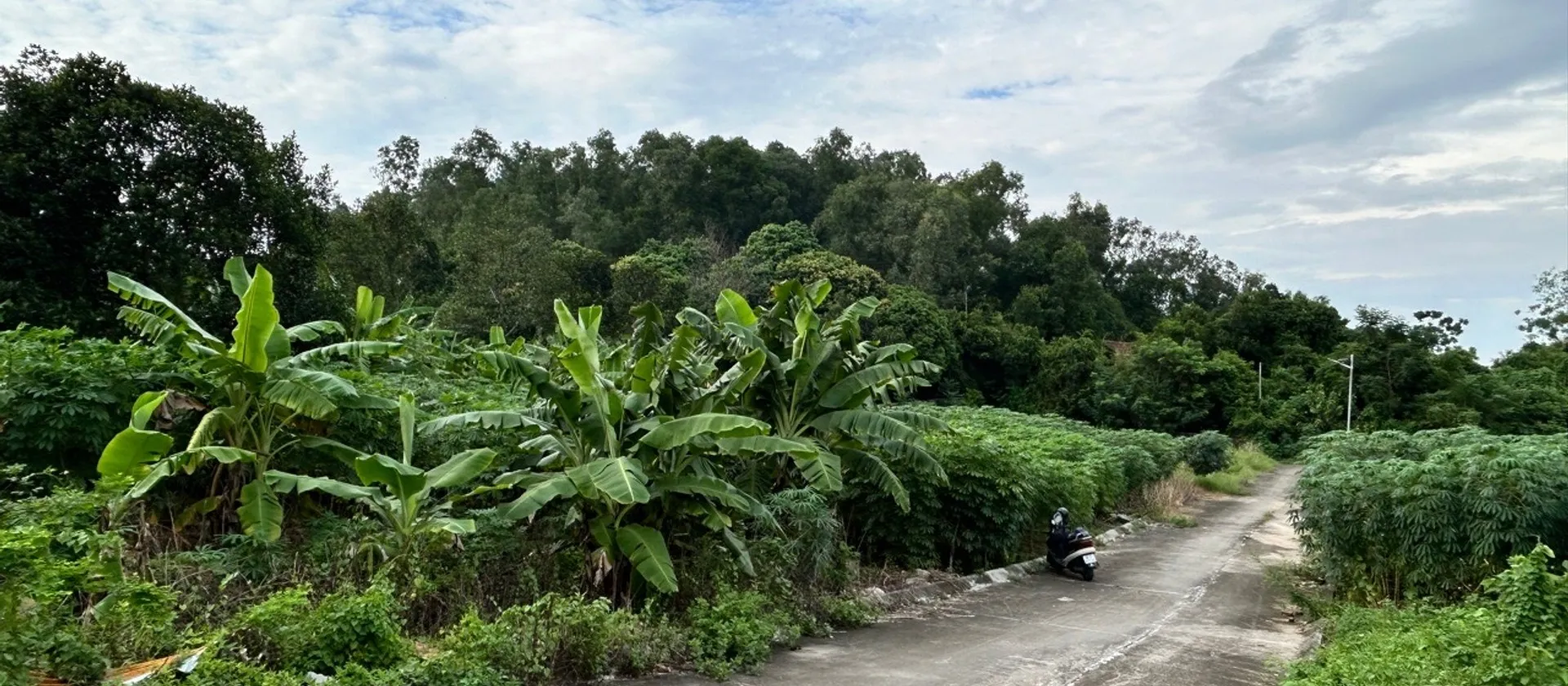 Bán đát thất gian khuyên mại vườn sắn... Bán đất tại Quế Võ, Bắc Ninh 01