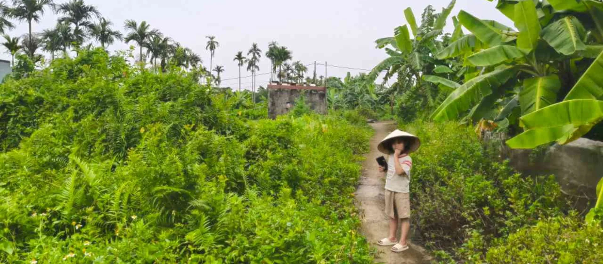 Lô đất vị trí thuận lợi tại phường Thiên Hương, Hải Phòng... Bán đất tại Thiên Hương, Hải Phòng 01