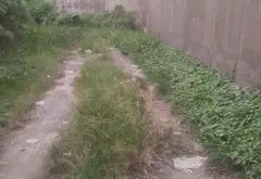 Cơ hội hiếm có sở hữu đất vàng Bình Tân ngay khu vực sầm uất... Bán đất tại Bình Tân, Hồ Chí Minh 07
