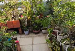 Nhà 5 tầng 3 phòng ngủ gần chợ Ông Địa giá 5.3 tỷ... Bán nhà riêng tại Tân Hòa, Hồ Chí Minh 05