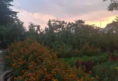 Cơ hội sở hữu lô góc đất 3 mặt thoáng tại Văn Giang, Hưng Yên cực hiếm... Bán đất tại Văn Giang, Hưng Yên 06