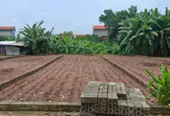 Đất bán 113 m2 tại xã Đức Hợp, Hưng Yên với mặt tiền rộng và tiềm năng phát triển... Bán đất tại Đức Hợp, Hưng Yên 06