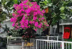 Bán nhà mặt phố – 648m² – An Hải, Sơn Trà, Đà Nẵng – 145 tỷ... Bán nhà mặt phố tại An Hải, Đà Nẵng 01