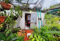 Bán nhà phân lô 6 tầng tại Kim Ngưu, Hai Bà Trưng, diện tích 64 m², sân rộng để xe... Bán nhà riêng tại Vĩnh Tuy, Hà Nội 14