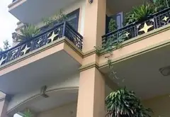 Biệt thự sân vườn đẳng cấp mặt phố trung tâm Tân Bình... Bán nhà mặt phố tại Tân Bình, Hồ Chí Minh 13