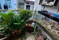 Nhà riêng 4 tầng rộng rãi tại Hoài Thanh, giá tốt chỉ 6,5 tỷ... Bán nhà riêng tại Phú Định, Hồ Chí Minh 04