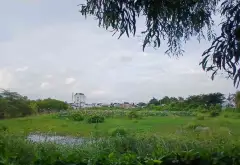 Đất rộng 4.937m2 mặt tiền 63m tại Tân Túc, giá siêu hấp dẫn... Bán đất tại Tân Nhựt, Hồ Chí Minh 06