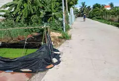 Mảnh Đất Vàng Hướng Nam Tại Quốc Tuấn, An Lão... Bán đất tại An Lão, Hải Phòng 03