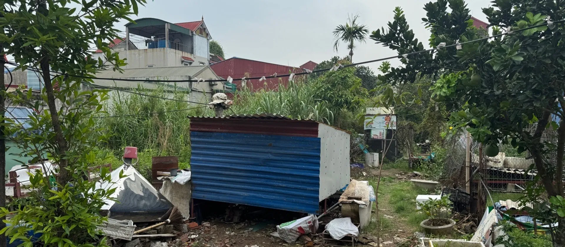 Bán đất mặt tiền tại phường Sơn Nam, Hưng Yên, diện tích 113,2 m2, phù hợp đầu tư... Bán đất tại Sơn Nam, Hưng Yên 01
