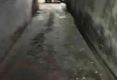🔥 ĐÔNG HƯNG THUẬN – 82M² – HẺM THÔNG – GIÁ MỚI HƠN 4TỶ... Bán nhà riêng tại Đông Hưng Thuận, Hồ Chí Minh 03