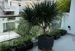 Cơ hội sở hữu nhà phố hiện đại gần KDC Era Town, giá tốt chỉ 16,3 tỷ... Bán nhà mặt phố tại Tân Mỹ, Hồ Chí Minh 08