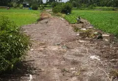 Cơ hội sở hữu đất nông nghiệp 272m² tại Bình Mỹ, giá chỉ 760 triệu đồng... Bán đất tại Bình Mỹ, Hồ Chí Minh 02