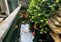 Cơ hội sở hữu biệt thự liền kề 5 tầng tại Bình Hưng, Hồ Chí Minh... Bán biệt thự, liền kề tại Bình Hưng, Hồ Chí Minh 17