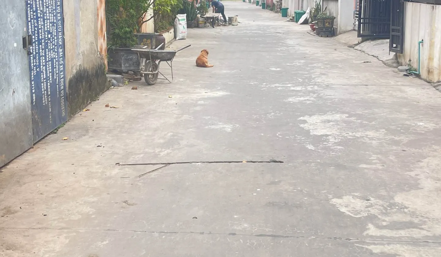 Đất thổ cư đẹp giá tốt tại Sóc Sơn - Thế Trạch... Bán đất tại Sóc Sơn, Hà Nội 01