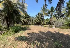 Khu Đất Đặc Quyền Ven Sông Long Phước Quận 9 Với Mặt Tiền 270m... Bán đất tại Long Phước, Hồ Chí Minh 08