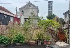 Mảnh Đất Vàng Xã Triệu Việt Vương - Cơ Hội Đầu Tư Sinh Lời... Bán đất tại Triệu Việt Vương, Hưng Yên 08
