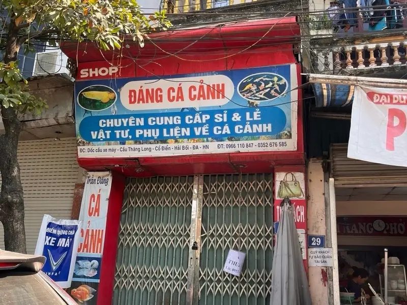 Bán nhà 3 tầng mặt chợ Cổ Điển, Hải Bối, Đông Anh... Bán nhà mặt phố tại Thiên Lộc, Hà Nội 01