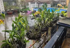 Nhà mặt phố Thảo Điền, 3 tầng, 501m2, mặt tiền rộng 35m - LH: 0918604219 C.Loan... Bán nhà mặt phố tại An Khánh, Hồ Chí Minh 08