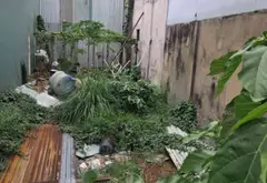Bán đất mặt tiền Tân Thới Nhất Quận 12, diện tích 86m2, giá 8.2 tỷ... Bán nhà mặt phố tại Đông Hưng Thuận, Hồ Chí Minh 01