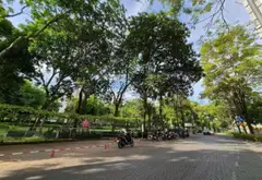Shophouse 1 tầng 2PN 2WC diện tích 69m2 tại Tân Sơn Nhì... Bán Shophouse tại Tân Sơn Nhì, Hồ Chí Minh 07